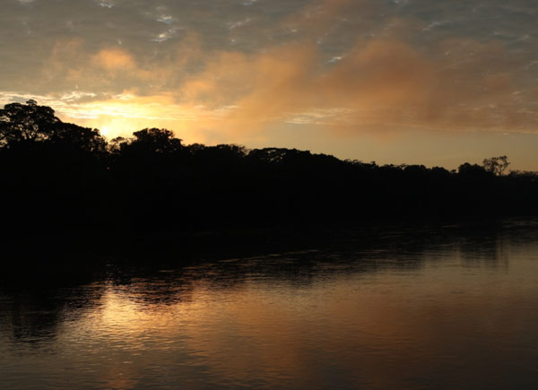 Paisaje de la Amazonía boliviana. Foto: ABI