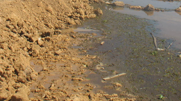 Según Fedecor, los reservorios y represas presentan deficiencias para el abastecimiento de agua en varias zonas. Foto: ABI