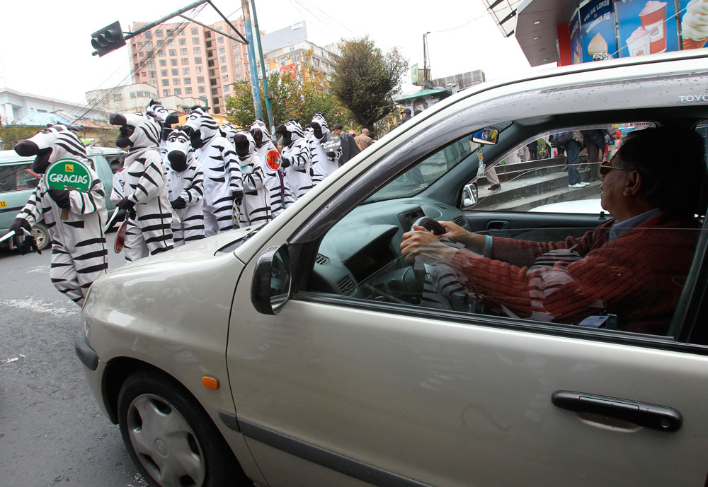 Las joviales "cebras" enseñan donde y cuando cruzar las calles en La Paz. Foto: EFE
