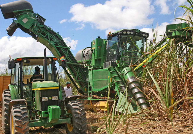 El proceso de producción de azúcar sufrió un retraso este año por cuestiones climáticas. Foto: ABI
