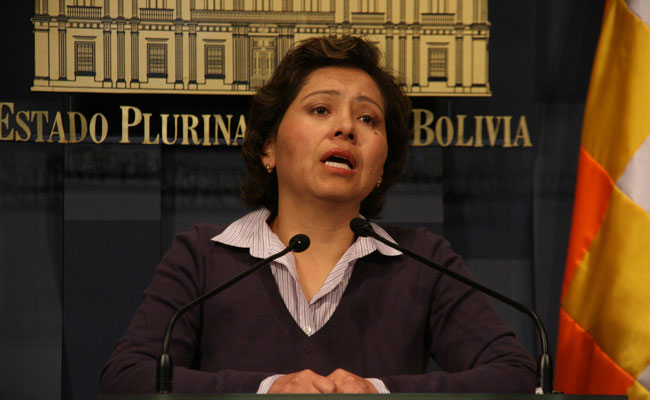 Viviana Caro, ministra de Planificacion. Foto: ABI