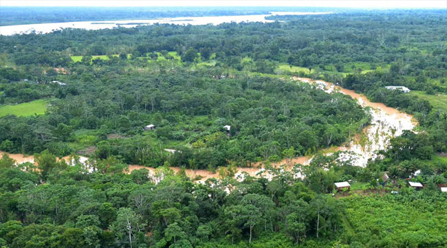 Bosques que rodean a la población de Rurrenabaque en el departamento de Beni. Foto: ABI