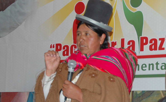 Felipa Huanca, secretaria ejecutiva de la Federación de Mujeres Campesinas Indígenas Bartolina Sisa. Foto: ABI