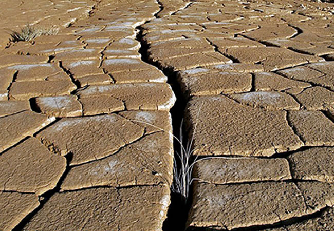Imagen de Sequías a nivel mundial. Foto: EFE
