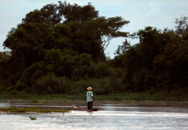 Imagen de El Pantanal, un gran humedal ubicado en el estado de Mato Grosso, en la frontera entre Brasil, Bolivia y Paraguay. Foto: EFE