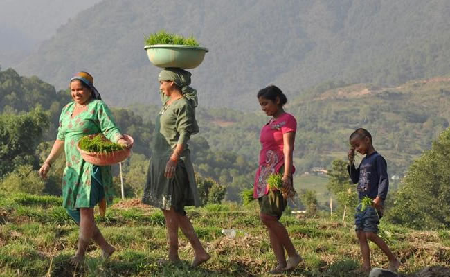 FIDA destinará USD 2,7 millones a agricultura familiar de América Latina. Foto: EFE