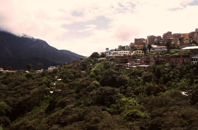 Población de Coroico en Yungas, departamento de La Paz. Foto: ABI
