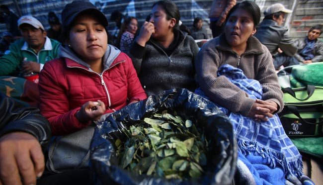 En la víspera cientos de cocaleros de Yungas se movilizaron en la ciudad de La Paz, rechazando la nueva ley que debe ser tratada por el legislativo. Foto: EFE