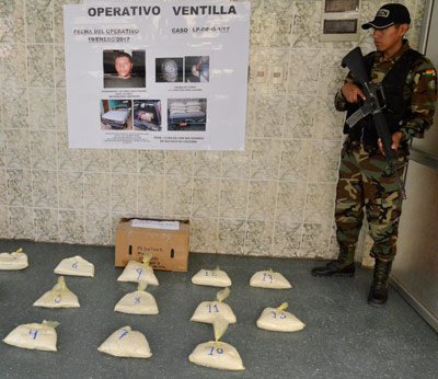 Droga incautada por la Fuerza Especial de Lucha Contra el Narcotráfico en el mes de enero. Foto: ABI