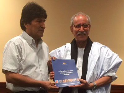 Encunetro entre el presidente de Bolivia, Evo Morales y su homólogo de la Republica Árabe de Saharaui, Brahim Gali. Foto: ABI