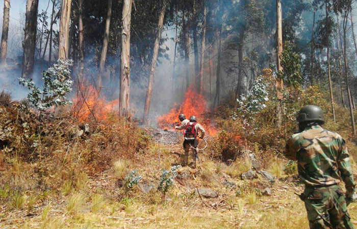 Guardabosques, miembros del SARS y militares lucharon contra las llamas en el Parque Tunari. Foto: ABI