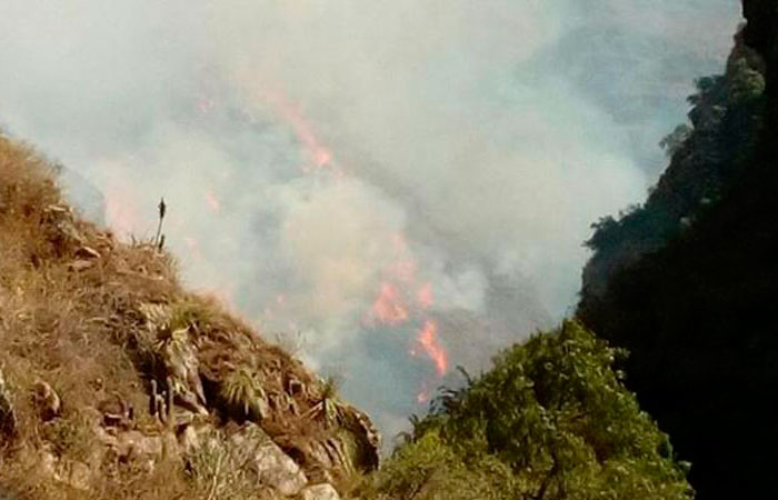 El incendio en la serranía de Sama arrasó con 10 mil hectáreas de terreno. Foto: ABI