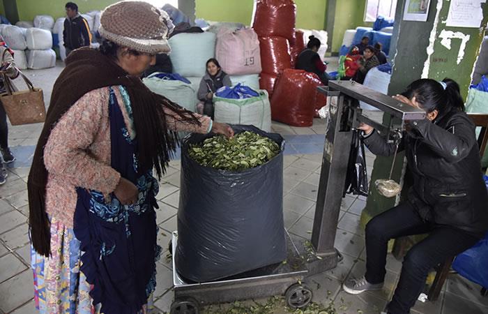 El 91% de la hoja de coca autorizada para venta legal en Bolivia se comercializa en el mercado de Villa Fátima. Foto: AFP