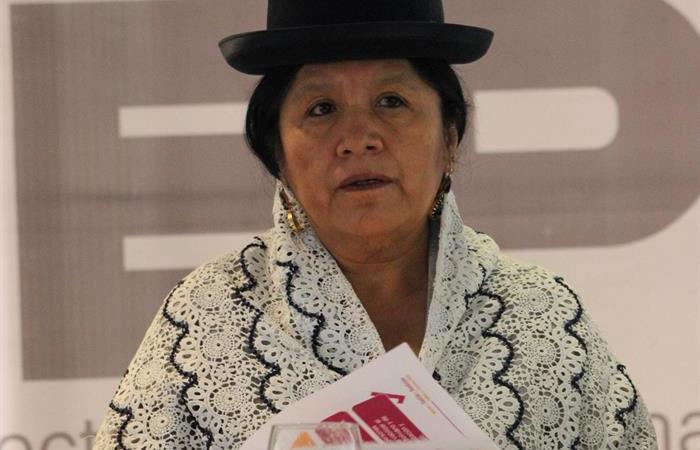 La presidenta del Tribunal Supremo Electoral de Bolivia, María Eugenia Choque, durante un comparecencia ante los medios. Foto: EFE