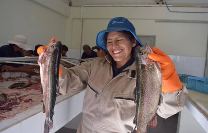 El pescado se ofrecera en la feria en La Paz. Foto: ABI