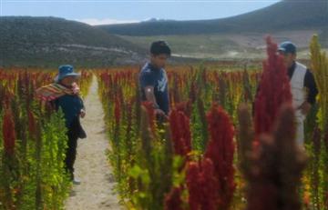 'A Taste of sky' es el documental que cuenta la experiencia de la gastronomía nórdica en Bolivia