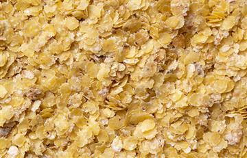 ¿Conoces el germen de trigo y sus increíbles propiedades?