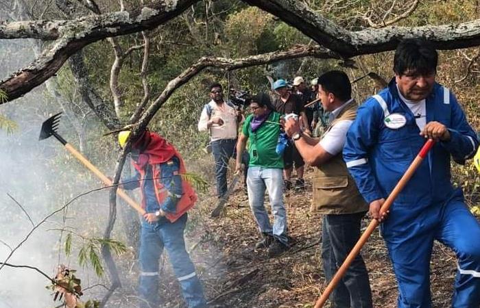 Evo Morales colaborando en pro de acabar con los incendios en la Chiquitania. Foto: Twitter