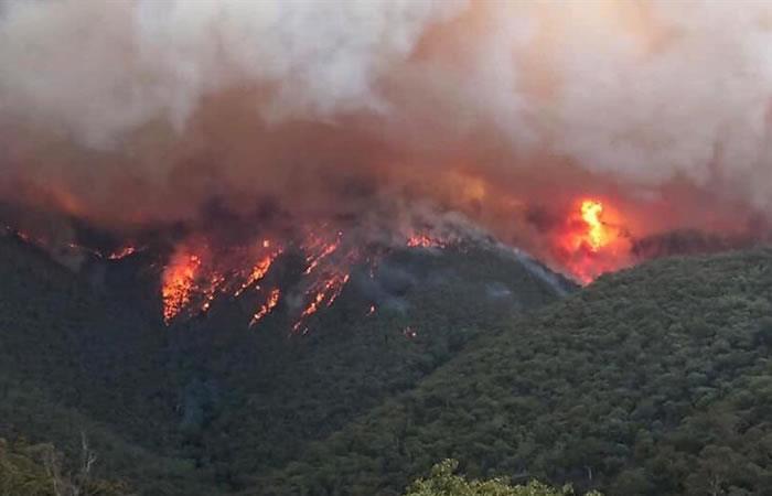 Incendios Australia han consumido 5.5 millones de hectáreas. Foto: EFE