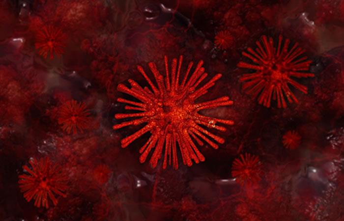 Aún esperan resultados de laboratorio que descarten o confirmen el virus. Foto: Pixabay