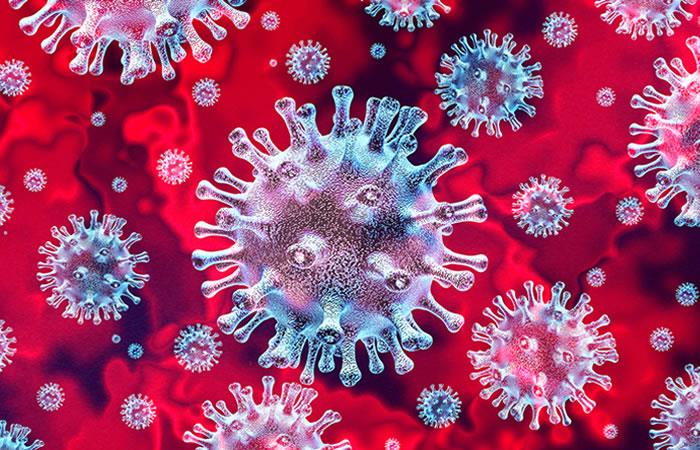 El coronavirus sobrevive a temperaturas más frías. Foto: Shutterstock