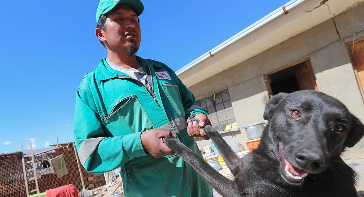 Este imparable trabajador sostiene que continuará rescatando animales mientras tenga vida. Foto: EFE