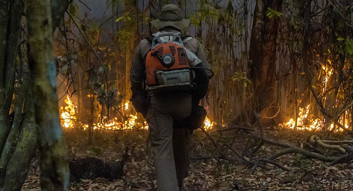 Bomberos luchan contra uno de los numerosos incendios forestales que golpean al Pantanal brasileño. Foto: EFE