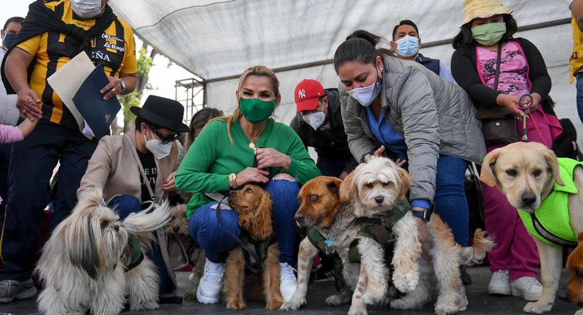 Campaña de desparasitación canina que realizó la Alcaldía de La Paz. Foto: ABI