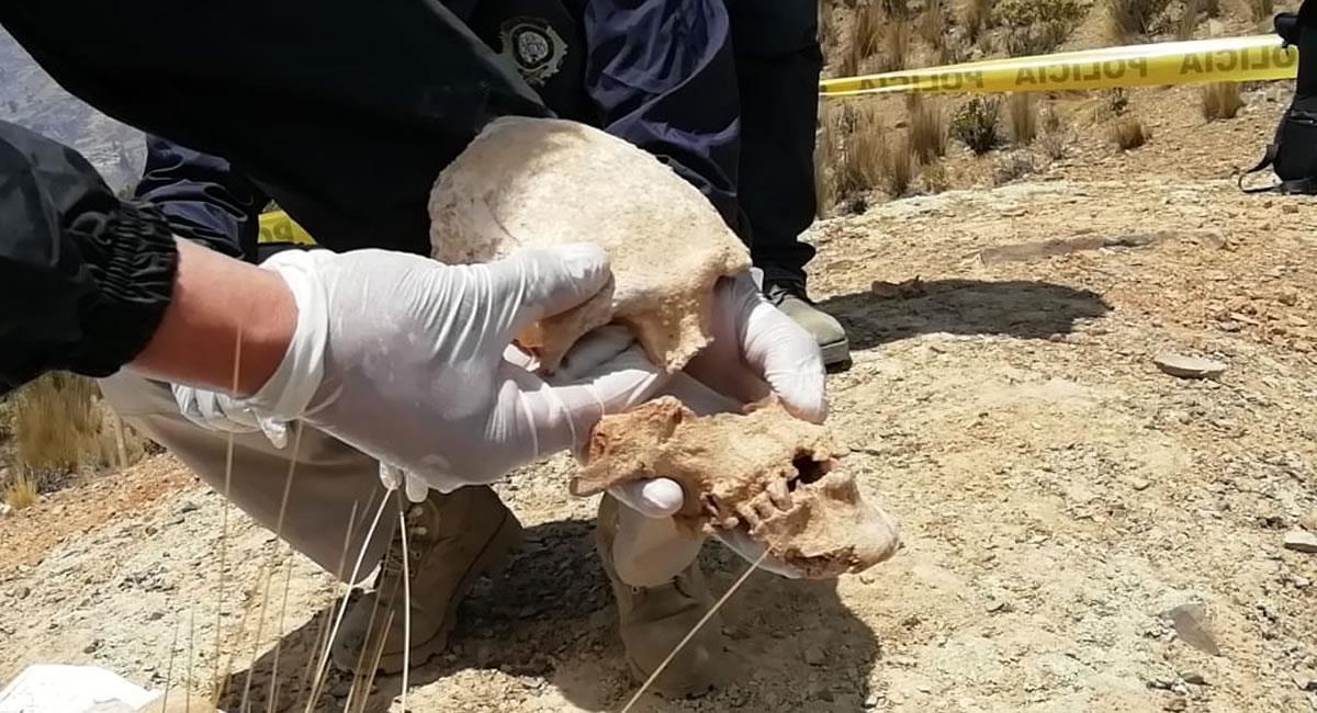 La Policía halló cinco fosas comunes con restos humanos. Foto: ABI