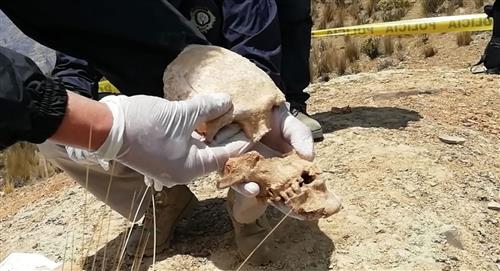 Encuentran restos humanos enterrados en fosas comunes en La Paz