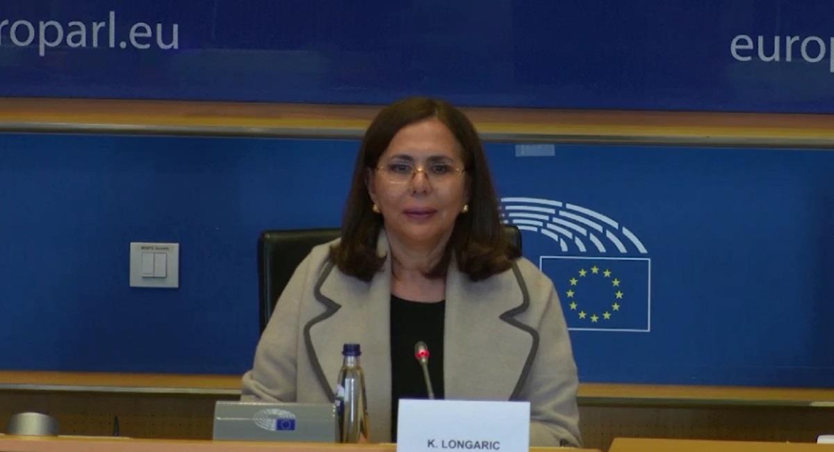 La Canciller Karen Longaric en el Parlamento Europeo. Foto: ABI