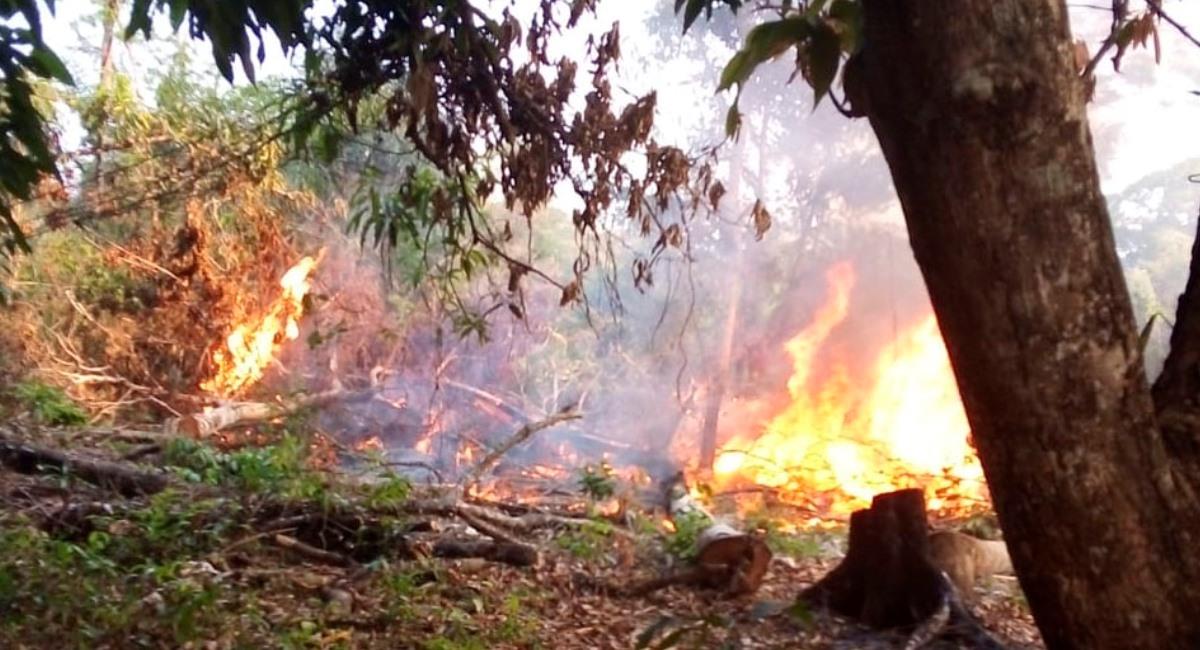Incendios forestales en el país. Foto: ABI