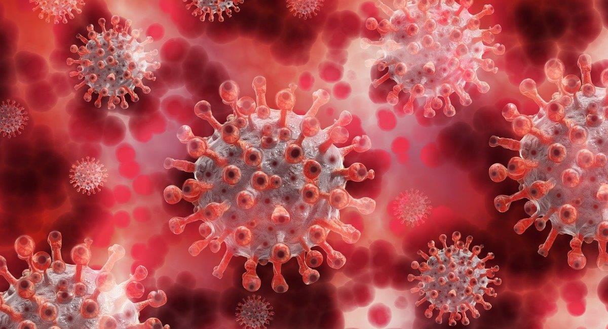 Claves para entender el virus Chapare (foto ilustrativa). Foto: Pixabay