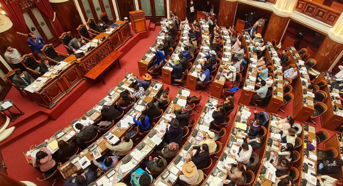 Diputados aprobó ley para elecciones subnacionales. Foto: ABI