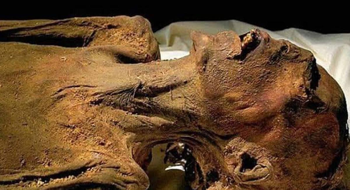 Los exámenes de ADN indican que la "momia que grita" es la del príncipe Pentawere, hijo del faraón Ramsés III. Foto: Twitter @redhistoria