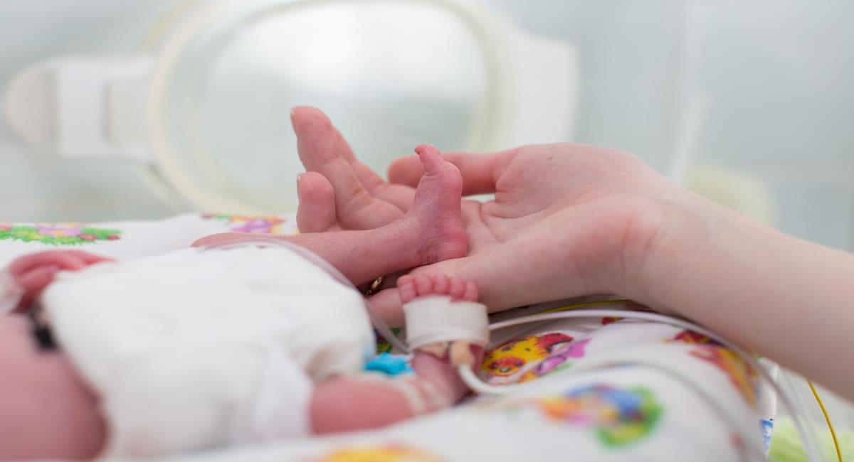 El sistema inmune de los niños prematuros también puede verse afectado. Foto: Shutterstock