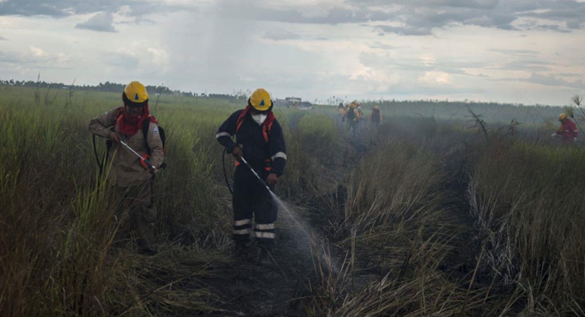 Bomberos y FFAA se movilizan para frenar incendios en el Parque Otuquis. Foto: ABI