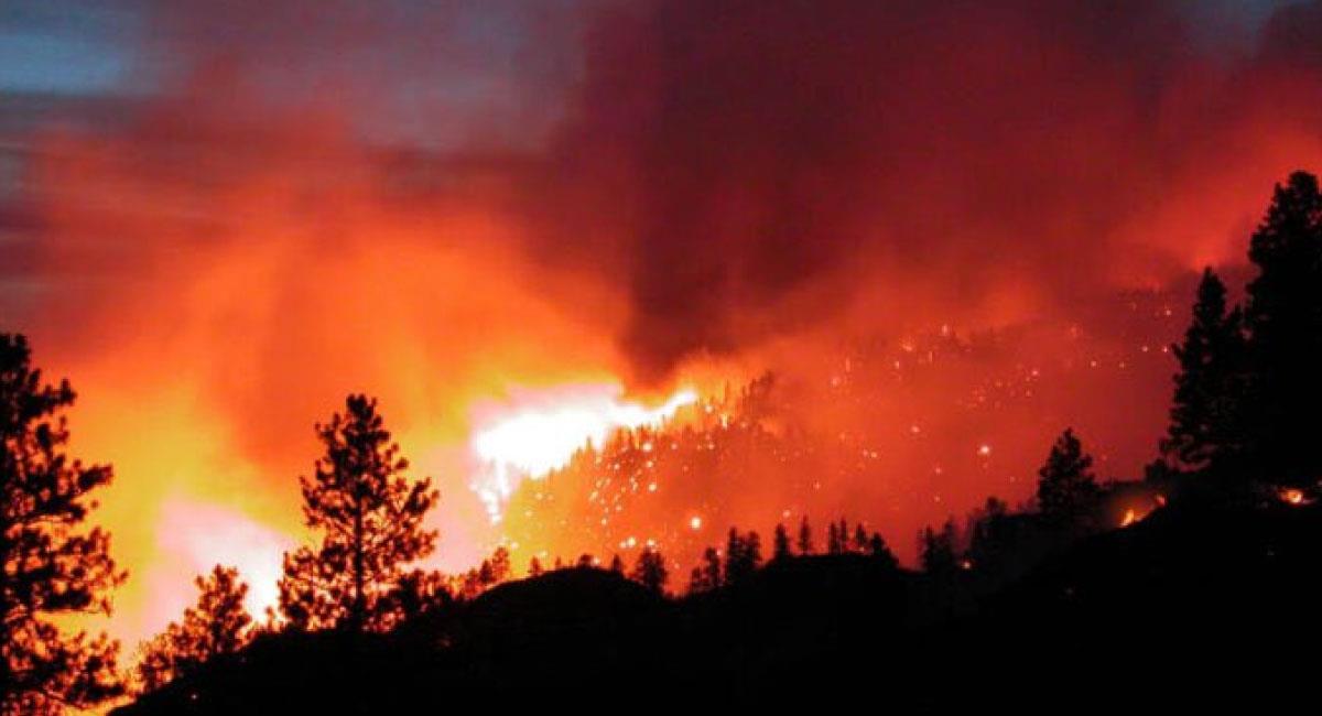 Un incendio de gran magnitud se registró en un parque natural boliviano. Foto: Twitter