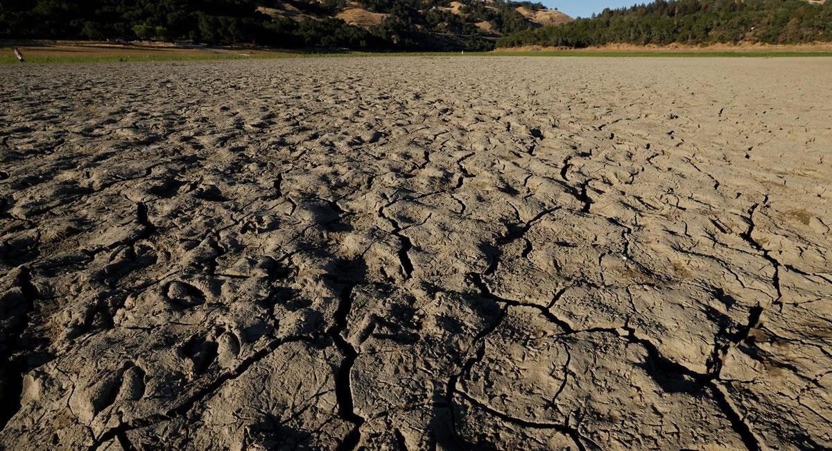 La ola de calor que azota estos días el oeste de Estados Unidos también ha puesto en riesgo al sector agricultor del país. Foto: EFE