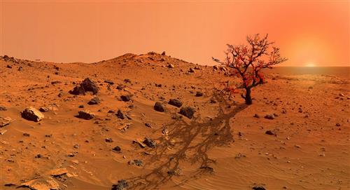 Orbitador espacial ExoMars: No hay (hasta ahora) presencia de vida en Marte