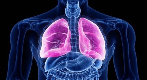 Molécula cortistatina, efectiva para tratar la fibrosis pulmonar