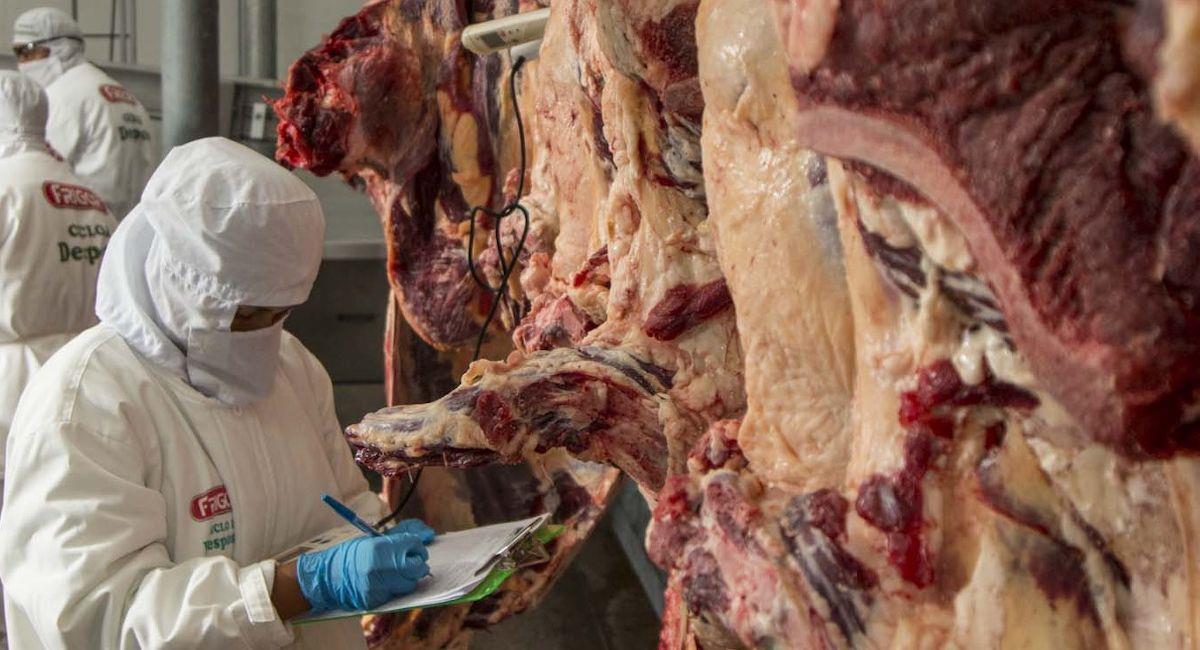 Bolivia exportó más de 10 mil toneladas de carne. Foto: ABI