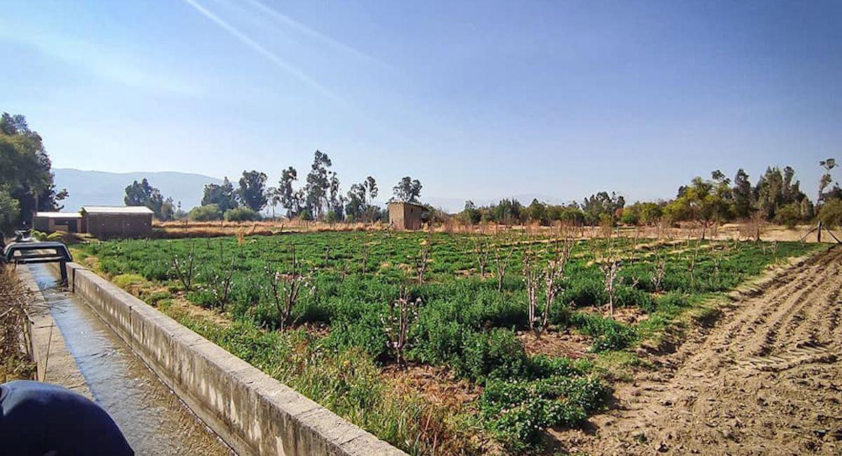 Bolivia comienza estudios para producir agroquímicos. Foto: ABI