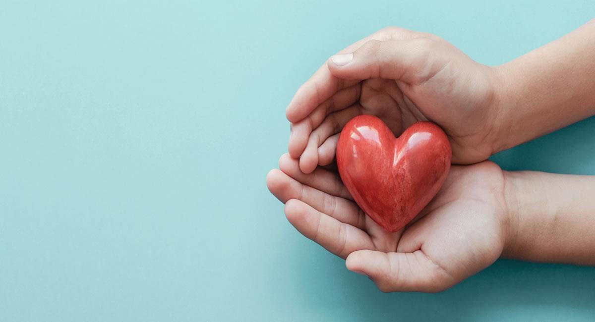 Consejos que ayudan a tener un corazón saludable. Foto: Shutterstock