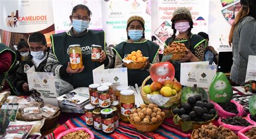 Presentan feria "Agroproductiva y Gastronómica del Campo a la Olla, Hecho en Bolivia"