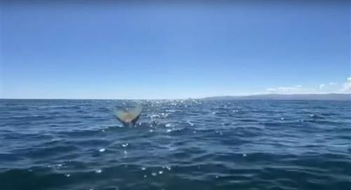 Turistas dicen haber visto a una sirena en el lago Titicaca