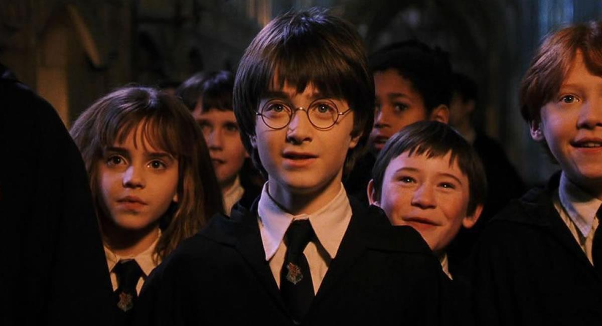 'Harry Potter' se convirtió en la producción más importante en la historia del Reino Unido. Foto: Filmaffinity