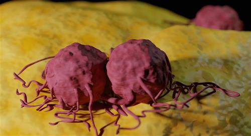 Descubren cómo las células tumorales pueden estar latentes durante años