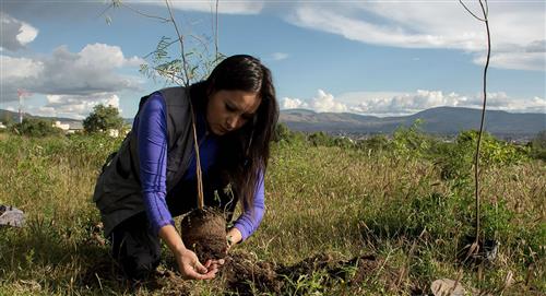 "Yo planto un arbolito", iniciativa que da vida a bosques urbanos en Bolivia