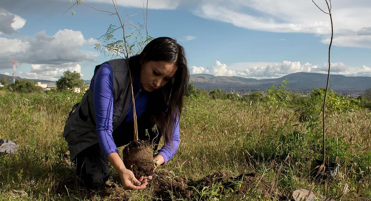 Activista boliviana de la organización "Yo planto un arbolito" Daniela Gutiérrez, en la ciudad de Cochabamba. Foto: EFE